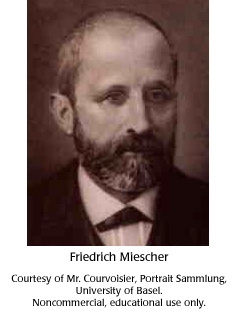 Friedrich Miescher