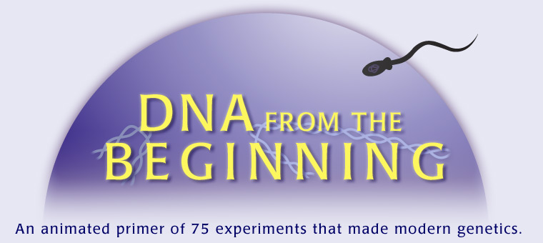 DNA from the Beginning