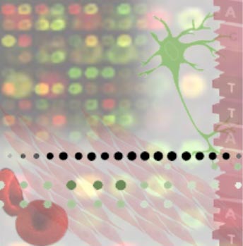 Different genes are active in different kinds of cells.